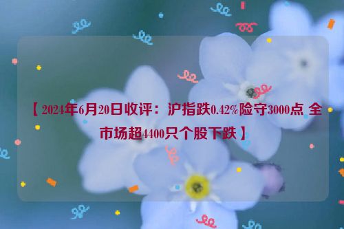 【2024年6月20日收评：沪指跌0.42%险守3000点 全市场超4400只个股下跌】