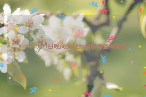 2024年4月21日晚间央视新闻联播要闻集锦