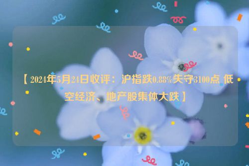 【2024年5月24日收评：沪指跌0.88%失守3100点 低空经济、地产股集体大跌】