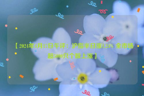 【2024年4月17日午评：沪指半日涨1.24% 全市场超5000只个股上涨】