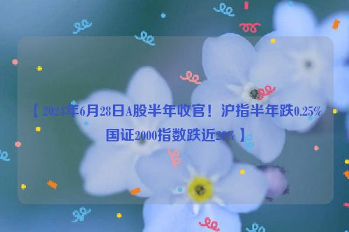 【2024年6月28日A股半年收官！沪指半年跌0.25% 国证2000指数跌近20%】