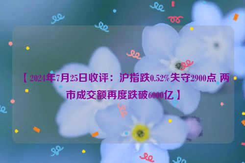 【2024年7月25日收评：沪指跌0.52%失守2900点 两市成交额再度跌破6000亿】