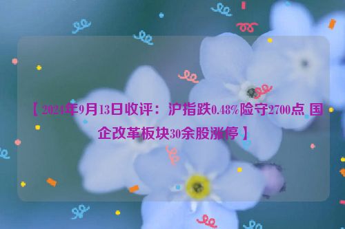 【2024年9月13日收评：沪指跌0.48%险守2700点 国企改革板块30余股涨停】