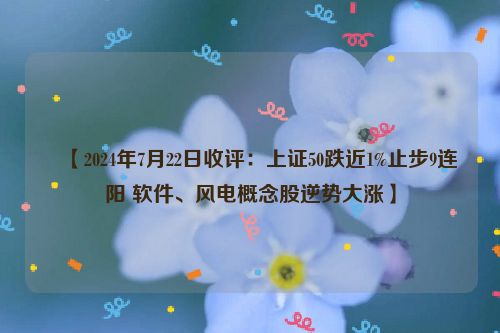 ​【2024年7月22日收评：上证50跌近1%止步9连阳 软件、风电概念股逆势大涨】